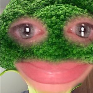 Meet your Posher, Jacy